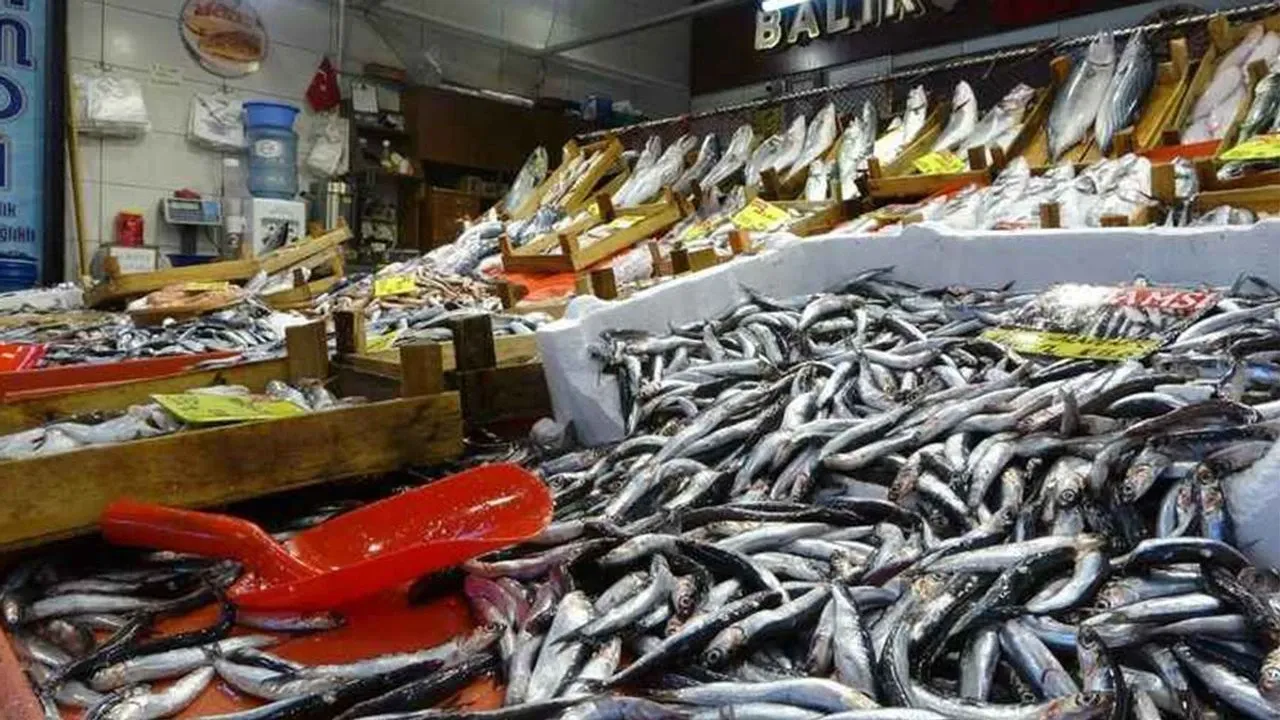 Samsun Balık Sezonu Rehberi: Mevsimlere Göre Balıklar
