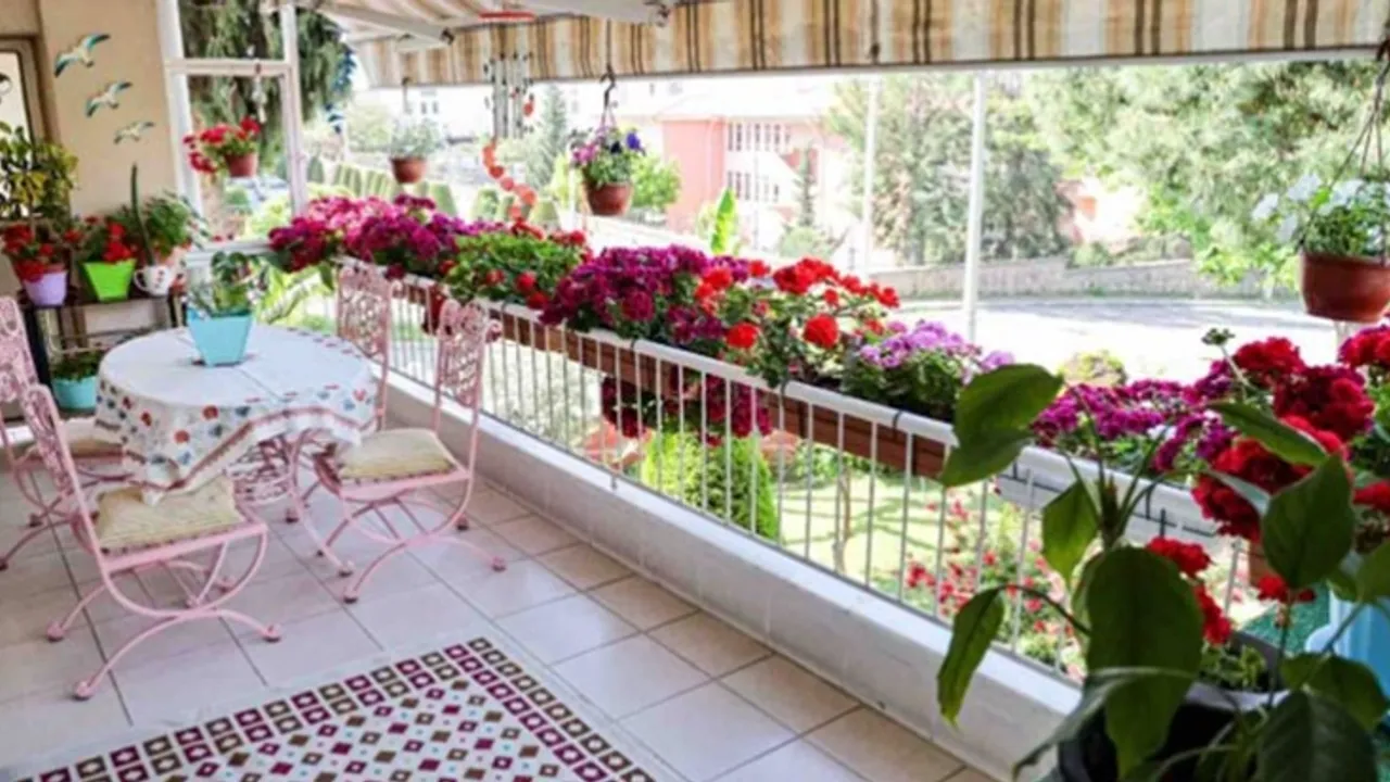 Atakum–İlkadım–Canik’te Balkon Bahçeciliği