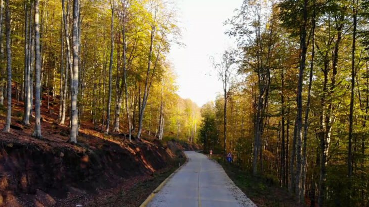 Samsun’da Sonbaharda Renk Cümbüşü Sunan 7 Yer
