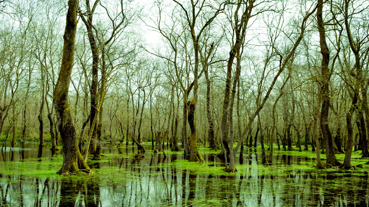 Samsun’da Ücretsiz Gezilebilecek 10 Yer