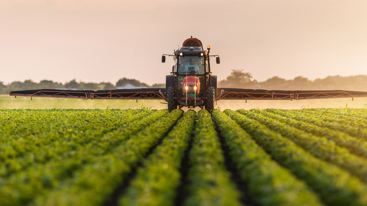 Samsun’un İhracat Yapan Markaları ve Başarı Öyküleri