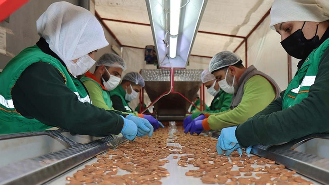 Samsun’da Kooperatifler Yerel Kalkınmayı Nasıl Güçlendiriyor?