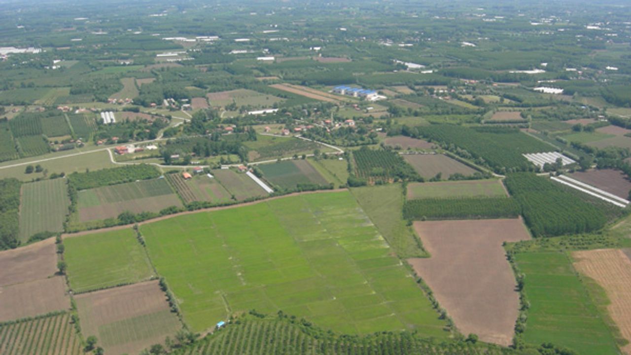 Çarşamba Ovası’nda Agroekoloji ve Toprak Sağlığı