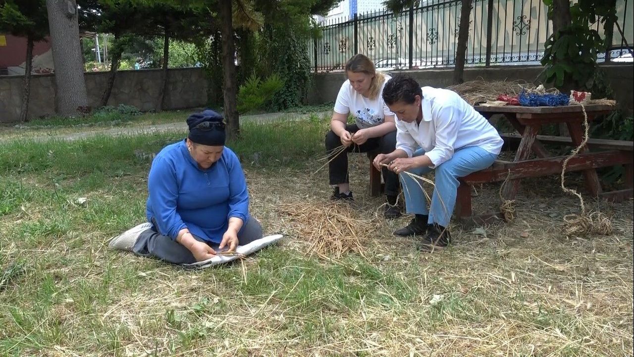 Pirinç sapı, tescilli Bafra zembiline can verdi