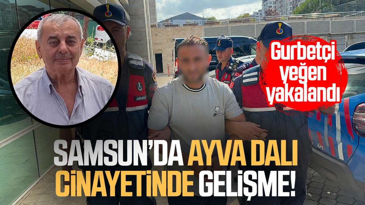 Ayva dalını kestiği için amcasını öldüren gurbetçi yakalandı