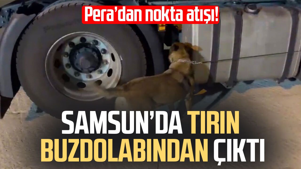 Samsun'da tırda buzdolabındaki maddeyi 'Pera' buldu