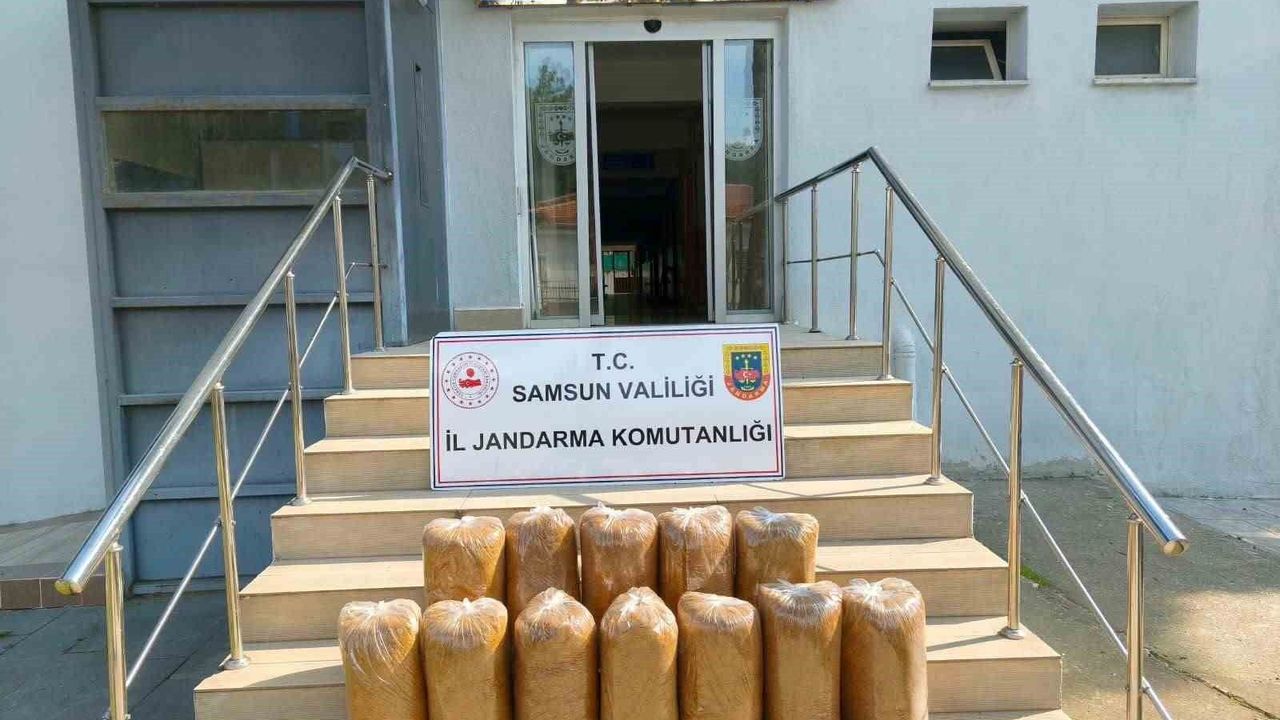 Atakum'da 60 kilo kıyılmış kaçak tütün ele geçirildi