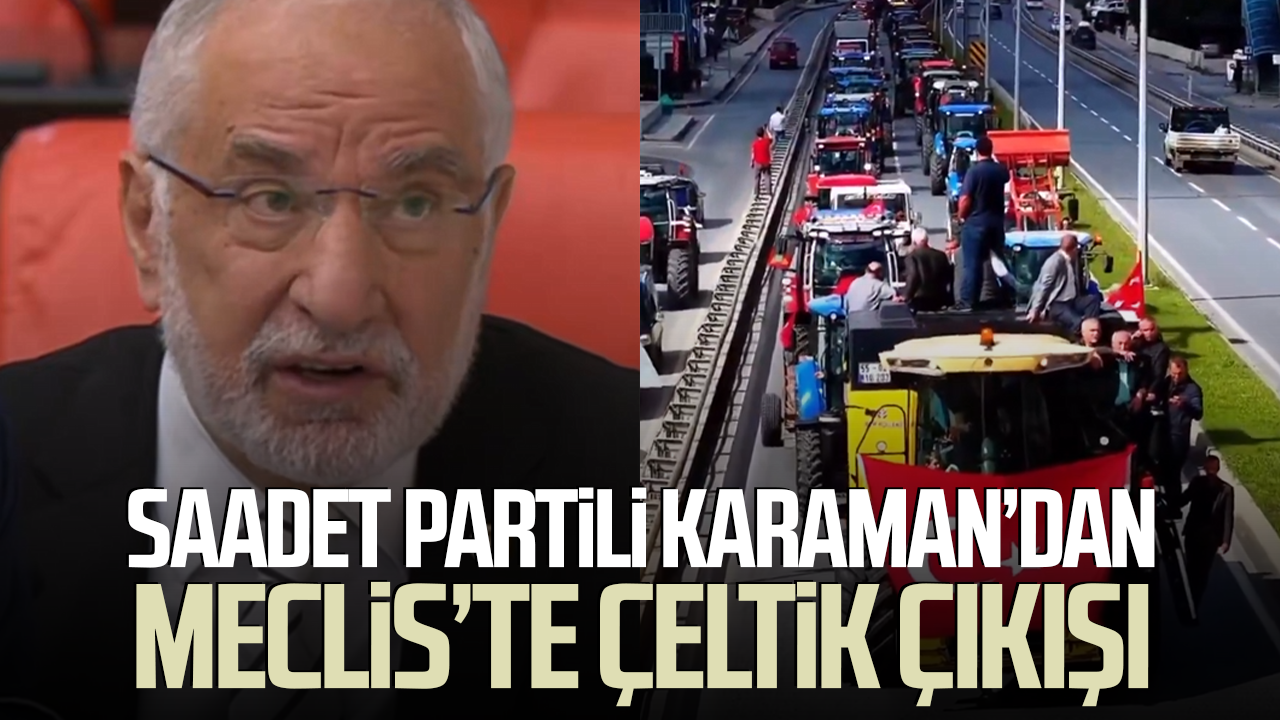 Saadet Partili Mehmet Karaman’dan TBMM'de çeltik çıkışı