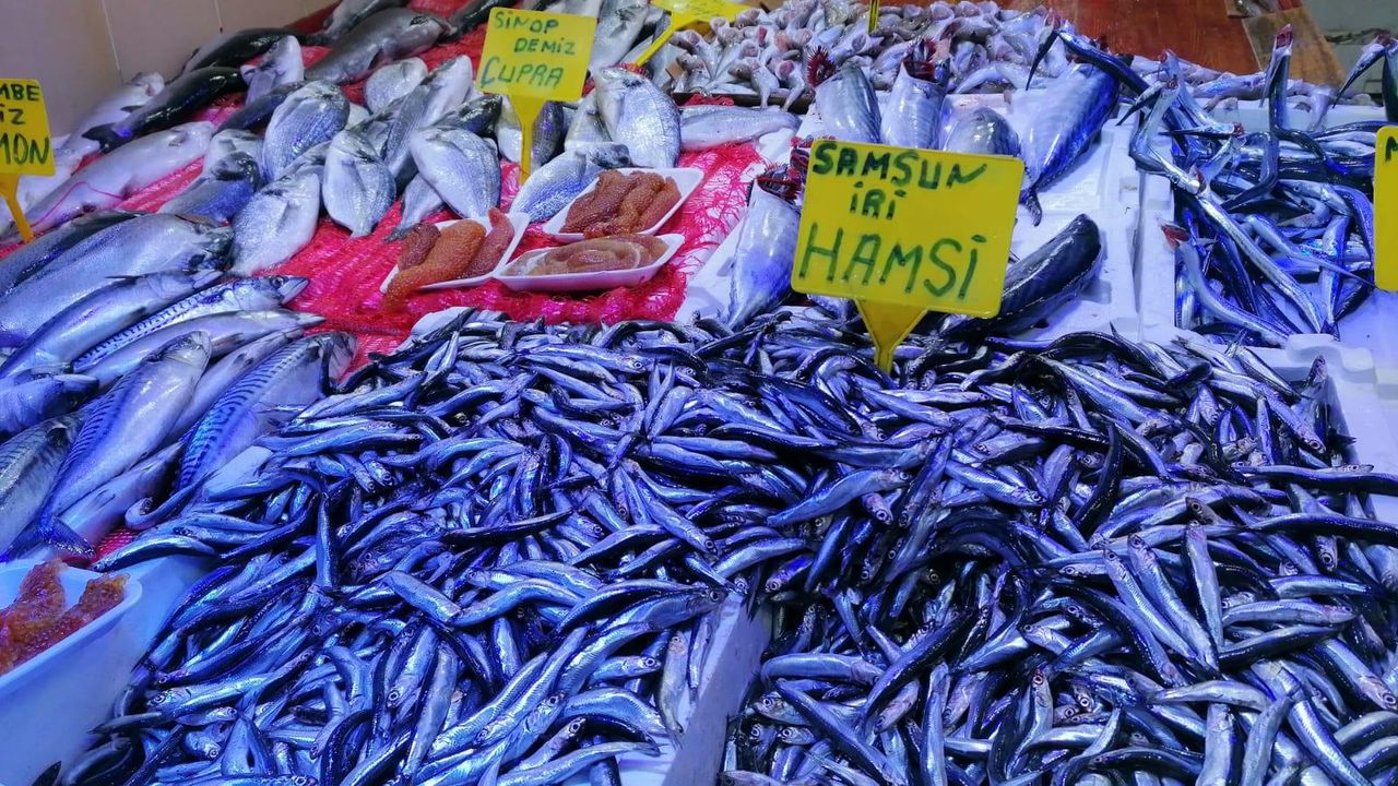 Samsun'da yasak öncesi balığa yoğun ilgi