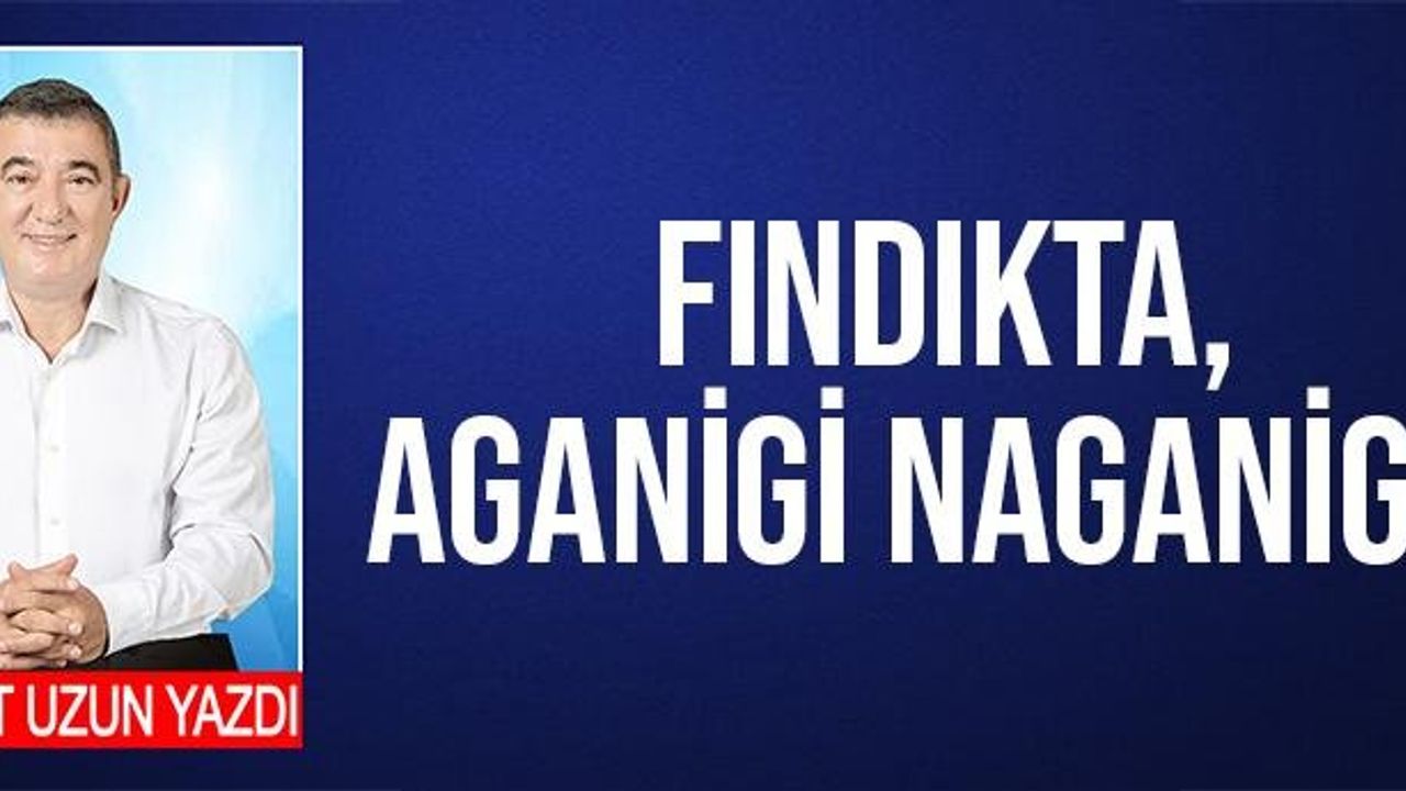 Necdet Uzun Yazdı: Fındıkta, Aganigi Naganigi…