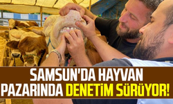 Samsun'da hayvan pazarında denetim sürüyor!