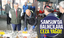Samsun'da balıkçılara ceza yağdı!