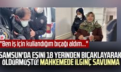 Samsun'da eşini 18 yerinden bıçaklayarak öldürmüştü! Mahkemede ilginç savunma