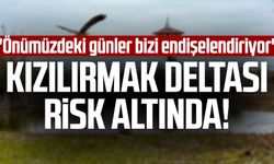 Samsun Kızılırmak Deltası risk altında! "Önümüzdeki günler bizi endişelendiriyor"