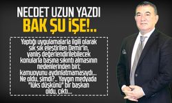 Necdet Uzun yazdı: Bak şu işe!..