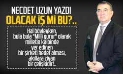 Necdet Uzun yazdı: Olacak iş mi bu?..