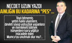 Necdet Uzun yazdı: Hainliğin bu kadarına "pes"...