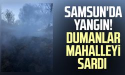 Samsun'da yangın! Dumanlar mahalleyi sardı