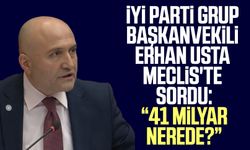 İYİ Parti Grup Başkanvekili Erhan Usta Meclis'te sordu: "41 milyar nerede?"