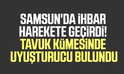 Samsun'da ihbar harekete geçirdi! Tavuk kümesinde uyuşturucu bulundu
