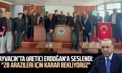Ayvacık'ta üretici Erdoğan'a seslendi: "2B arazileri için karar bekliyoruz"