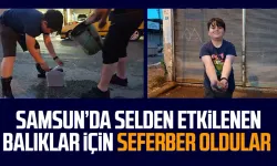 Samsun’da selden etkilenen balıklar için seferber oldular