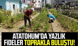 AtaTohum’da yazlık fideler toprakla buluştu!