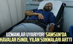 Uzmanlar uyarıyor! Samsun'da havalar ısındı, yılan sokmaları arttı