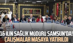 16 ilin sağlık müdürü Samsun'da! Çalışmalar masaya yatırıldı