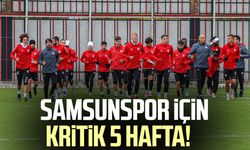 Samsunspor için kritik 5 hafta!