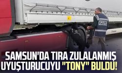 Samsun'da tıra zulalanmış uyuşturucuyu "Tony" buldu!