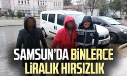 Samsun'da binlerce liralık hırsızlık