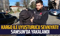 Kargo ile uyuşturucu sevkiyatı! Samsun'da yakalandı