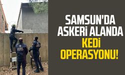 Samsun'da askeri alanda kedi operasyonu!