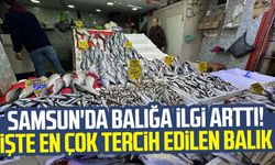 Samsun'da balığa ilgi arttı! İşte en çok tercih edilen balık