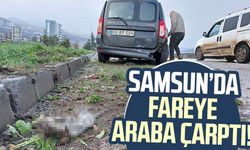 Samsun'da yağmurdan kayganlaşan yolda kaza!