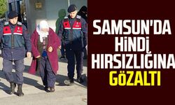 Samsun'da hindi hırsızlığına gözaltı