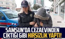 Samsun'da cezaevinden çıktığı gibi hırsızlık yaptı!