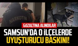 Samsun'da o ilçelerde uyuşturucu baskını! Gözaltına alındılar
