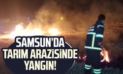 Samsun Bafra'da yangın! Tarım arazisi zarar gördü