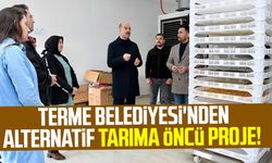 Terme Belediyesi'nden alternatif tarıma öncü proje!