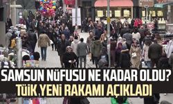 Samsun nüfusu ne kadar oldu? TÜİK yeni rakamı açıkladı