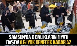 Samsun'da o balıkların fiyatı düştü! İlgi yok denecek kadar az