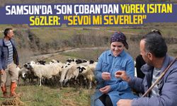 Samsun'da 'son çoban'dan yürek ısıtan sözler: "Çobanların da kalbi var"