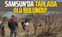 Samsun Bafra'da tarlada ölü bulundu!