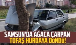 Samsun'da ağaca çarpan Tofaş hurdaya döndü!