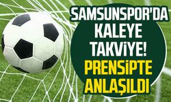 Samsunspor'da kaleye takviye! Prensipte anlaşıldı