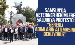 Samsun'da veteriner hekimlere saldırıya protesto: Gerekli adımların atılmasını bekliyoruz