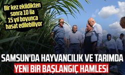 Samsun'da hayvancılık ve tarımda yeni bir başlangıç hamlesi