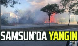 Samsun İlkadım'da otluk alanda yangın